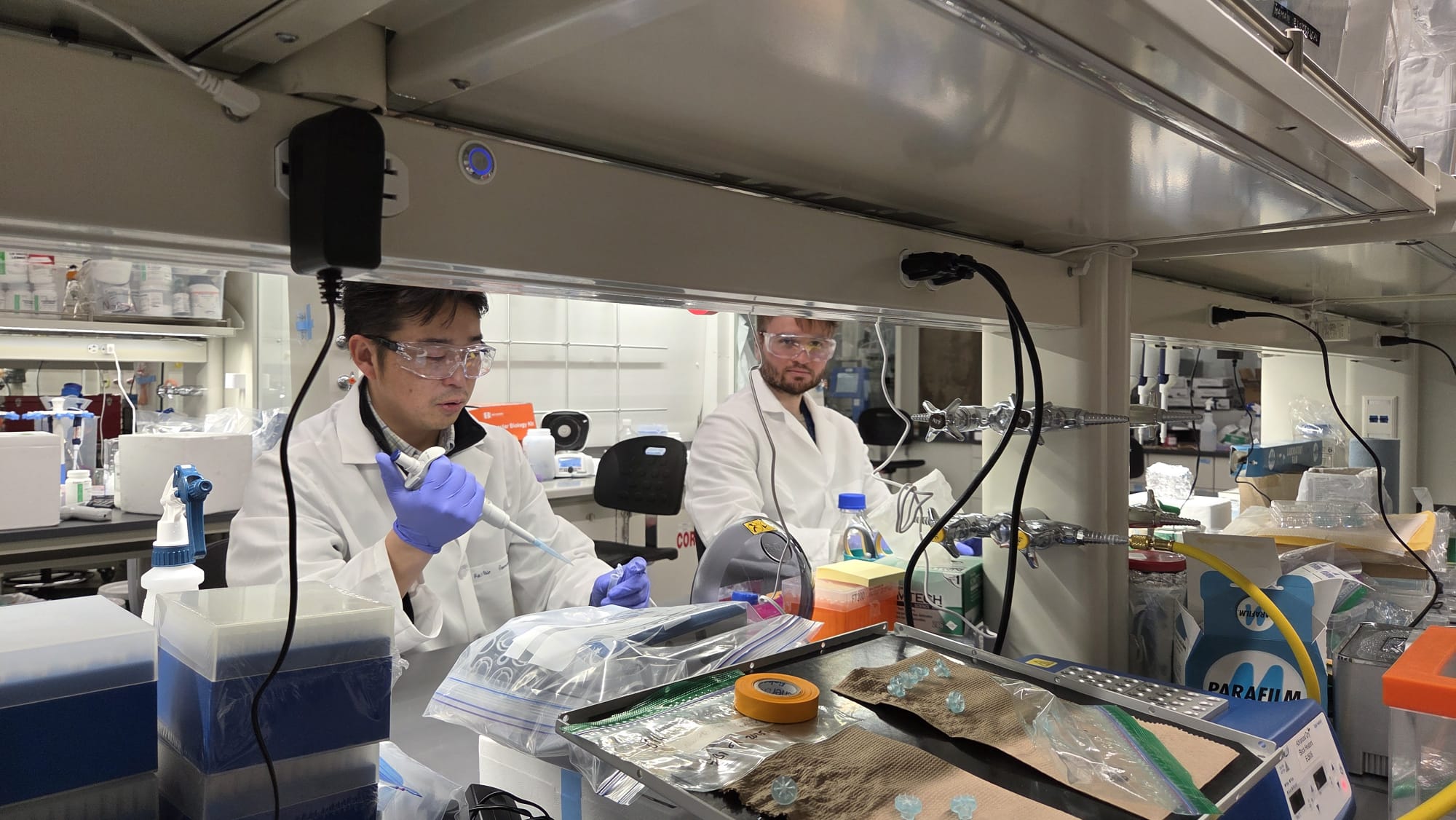 DNA plasmid illustration